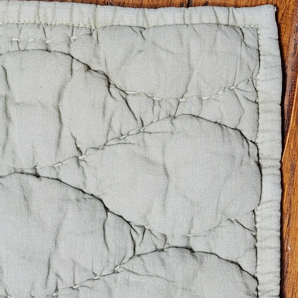 Pottery Barn Cocoon Voile Quilted King Sham Eucalyptus Sage Green (Studio Prop)
